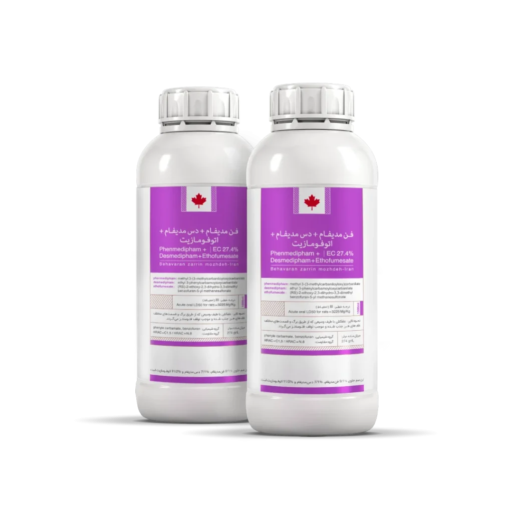 phenmedipham+ Desmedipham+ Ethofumesate