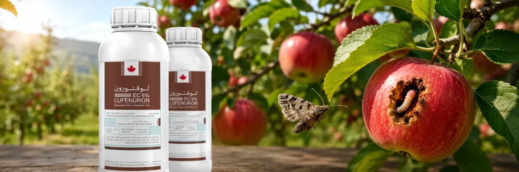 Codling Moth in Apple Trees