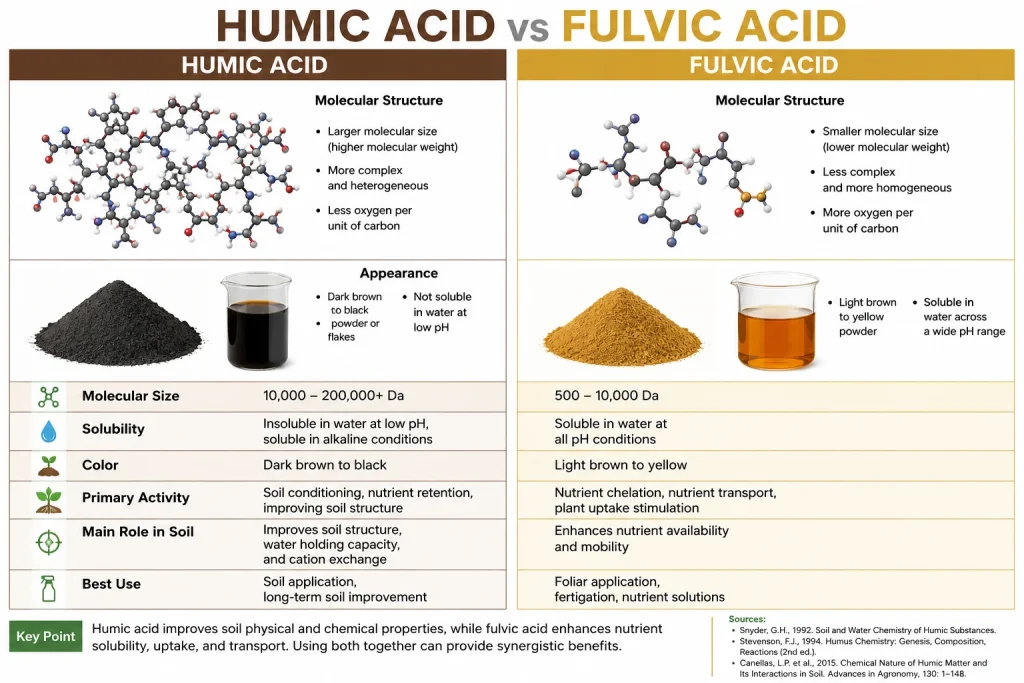 Humic acid vs fulvic acid comparison showing differences in molecular structure, solubility, color, soil activity and nutrient uptake.