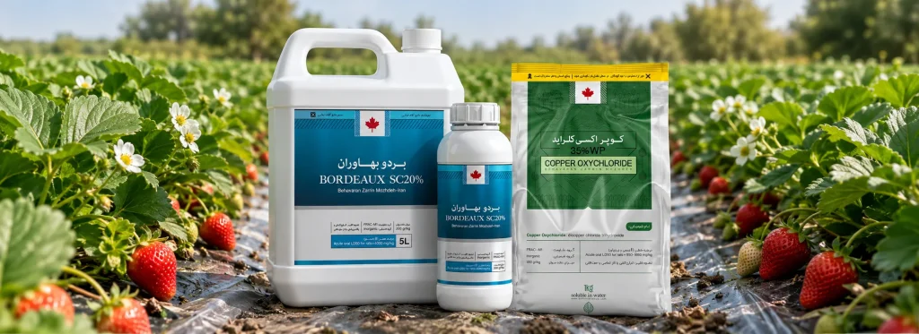 Best Fungicide for Strawberry